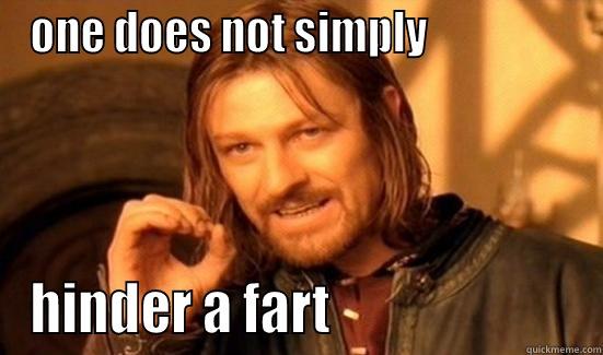 ONE DOES NOT SIMPLY                  HINDER A FART                        Boromir