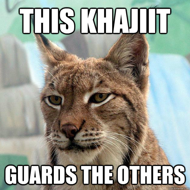 This Khajiit Guards the others  
