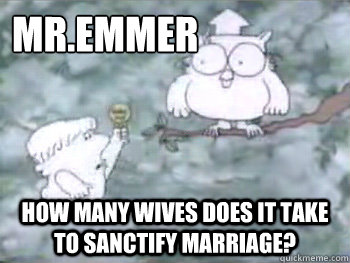 Mr.Emmer How many wives does it take to sanctify marriage?  