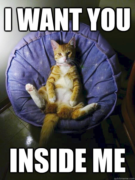I want you inside me - I want you inside me  whore cat