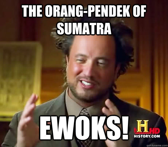 The Orang-Pendek of Sumatra EWOKS!  Ancient Aliens