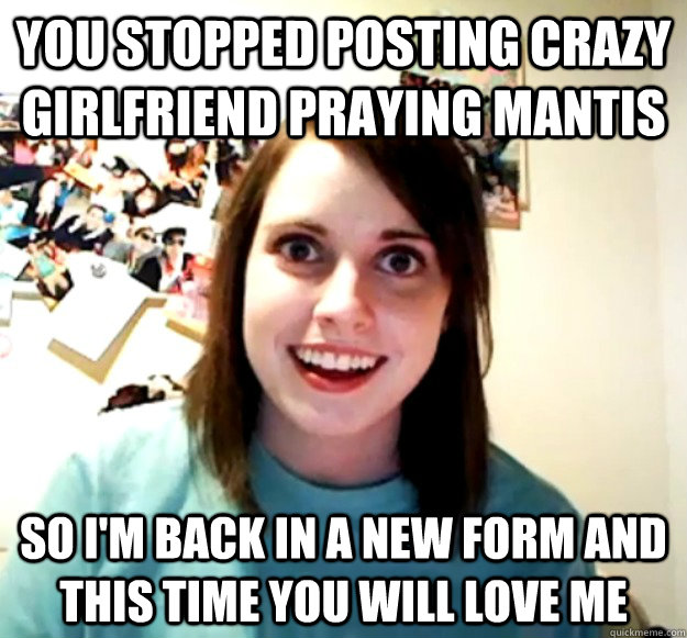 You stopped posting crazy girlfriend praying mantis so i'm back in a new form and this time you will love me  Overly Attached Girlfriend