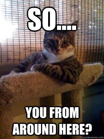 so.... you from around here?  The Most Interesting Cat in the World