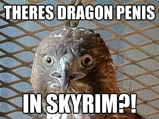 theres dragon penis in skyrim?! - theres dragon penis in skyrim?!  Shock Hawk
