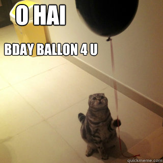 o hai bday ballon 4 u   Sad Birthday Cat