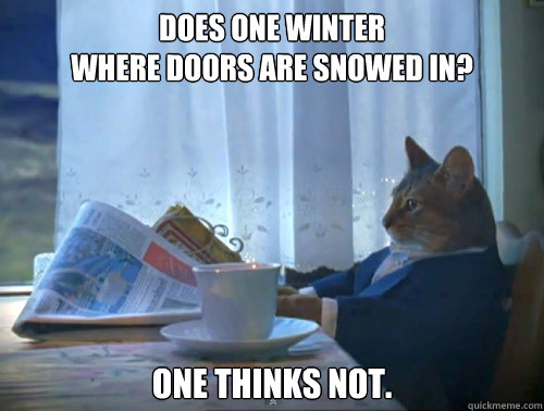 Does one winter
where doors are snowed in? one thinks not.  The One Percent Cat