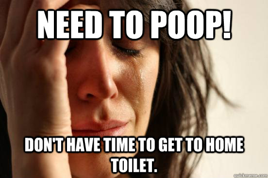 NEED TO POOP! Don't have time to get to home toilet.  First World Problems