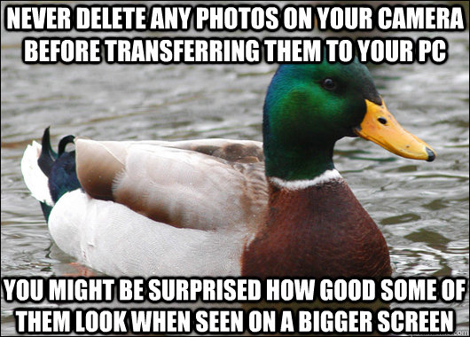 never delete any photos on your camera before transferring them to your pc you might be surprised how good some of them look when seen on a bigger screen  Actual Advice Mallard