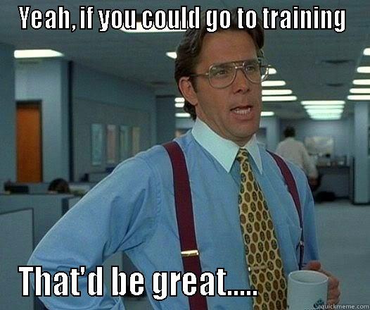 Seriously, your Scouts deserve a trained leader - YEAH, IF YOU COULD GO TO TRAINING THAT'D BE GREAT.....                Office Space Lumbergh