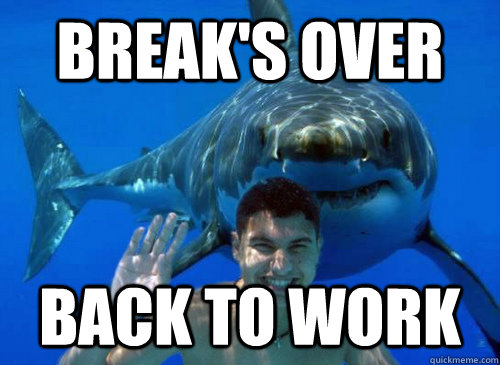 Break's over Back to work - Break's over Back to work  Good Sharks