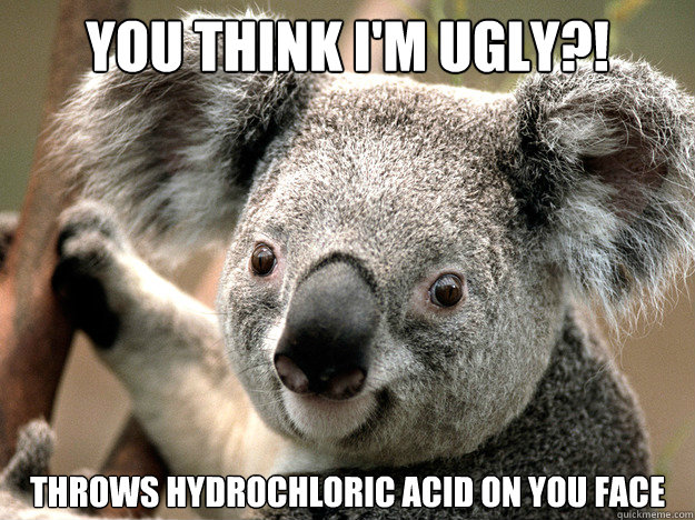 you think i'm ugly?! throws hydrochloric acid on you face  Evil Koala Bear