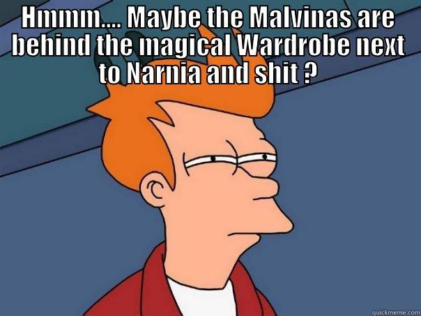 HMMM.... MAYBE THE MALVINAS ARE BEHIND THE MAGICAL WARDROBE NEXT TO NARNIA AND SHIT ?  Futurama Fry