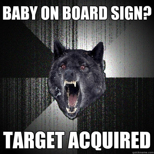 Baby on board sign? Target acquired   Insanity Wolf