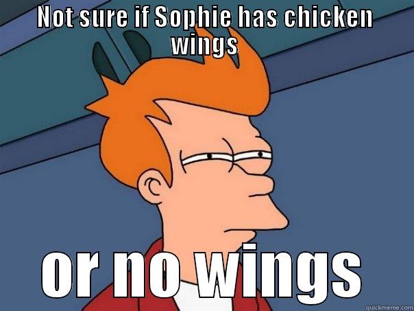 NOT SURE IF SOPHIE HAS CHICKEN WINGS OR NO WINGS Futurama Fry