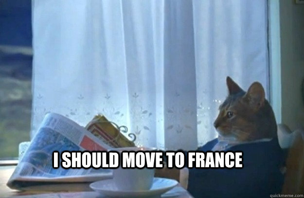 I should move to france  Sophisticated Cat