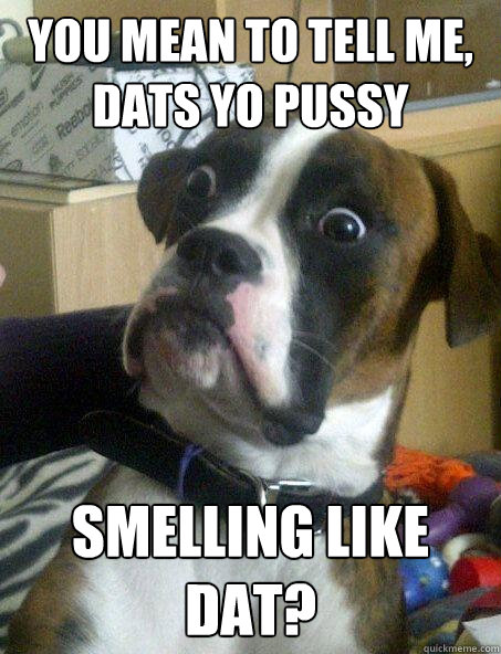 You mean to tell me, dats yo pussy Smelling like dat? - You mean to tell me, dats yo pussy Smelling like dat?  Surprised Dog