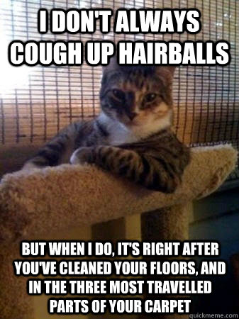 I don't always cough up hairballs but when I do, it's right after you've cleaned your floors, and in the three most travelled parts of your carpet  The Most Interesting Cat in the World