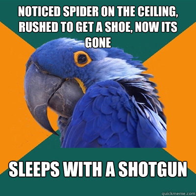 noticed spider on the ceiling, rushed to get a shoe, now its gone sleeps with a shotgun  Paranoid Parrot