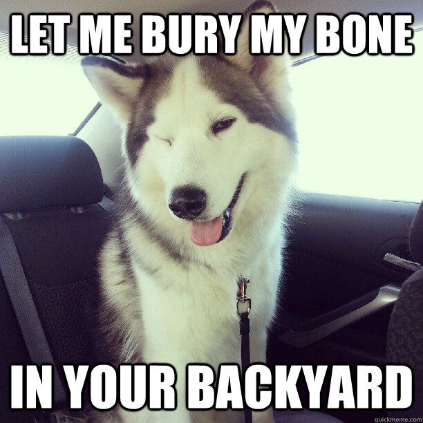 let me bury my bone in your backyard  