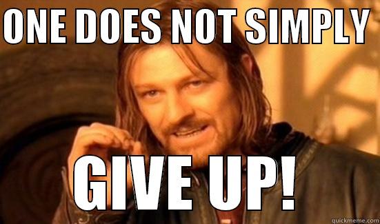 ONE DOES NOT SIMPLY  GIVE UP! Boromir