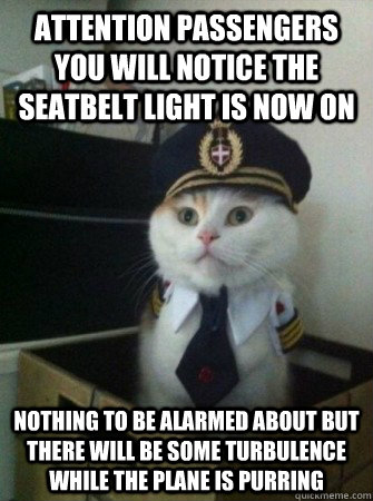 attention passengers you will notice the seatbelt light is now on nothing to be alarmed about but there will be some turbulence while the plane is purring  