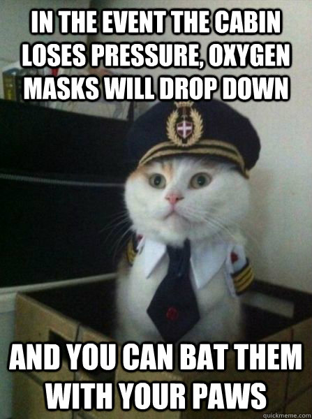In the event the cabin loses pressure, oxygen masks will drop down and you can bat them with your paws - In the event the cabin loses pressure, oxygen masks will drop down and you can bat them with your paws  Misc