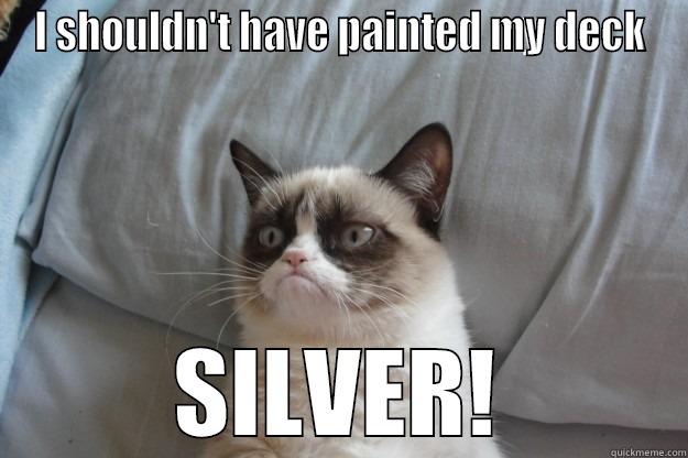 I SHOULDN'T HAVE PAINTED MY DECK SILVER! Grumpy Cat
