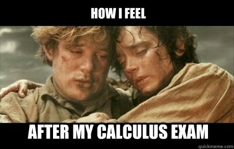 How I feel after my calculus exam  Lord of the Rings Homework