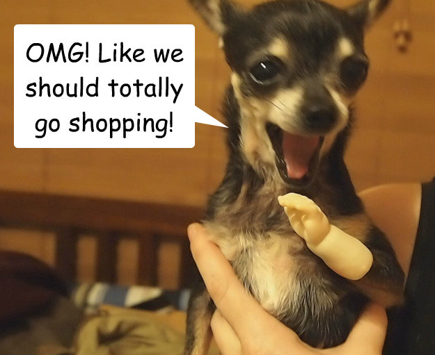 OMG! Like we should totally go shopping! - OMG! Like we should totally go shopping!  Excited Dog.
