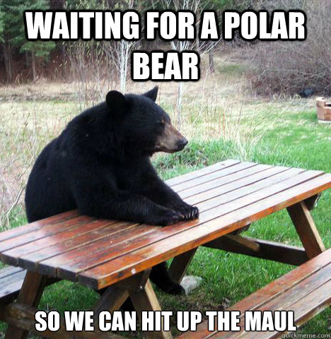 Waiting for a polar bear  so we can hit up the maul - Waiting for a polar bear  so we can hit up the maul  waiting bear