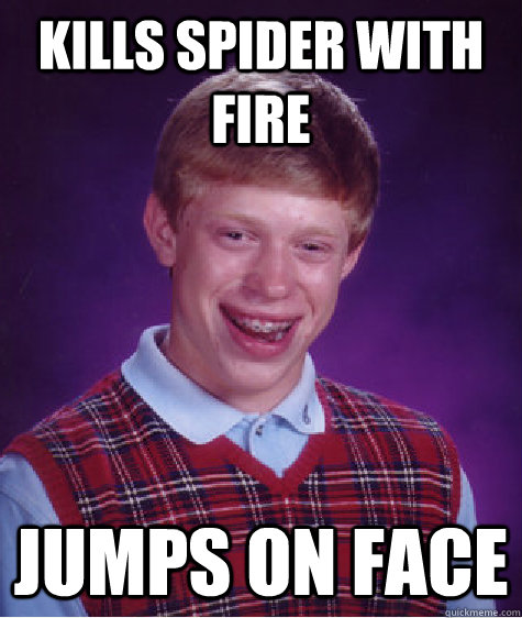 Kills spider with fire jumps on face - Kills spider with fire jumps on face  Bad Luck Brian