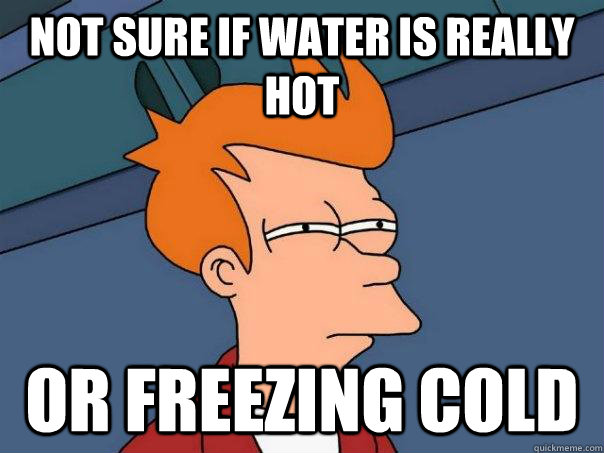 Not sure if water is really hot or freezing cold - Not sure if water is really hot or freezing cold  Futurama Fry