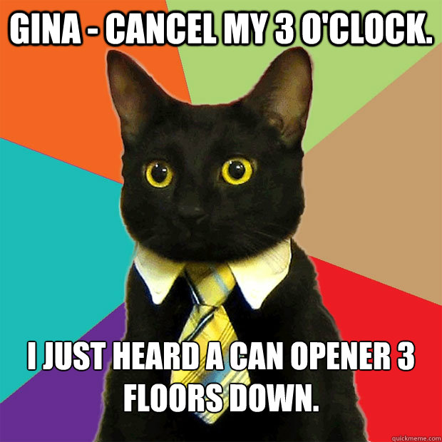 GINA - cancel my 3 o'clock. I just heard a can opener 3 floors down. - GINA - cancel my 3 o'clock. I just heard a can opener 3 floors down.  Business Cat