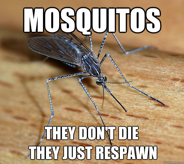Mosquitos They don't die
 they just respawn - Mosquitos They don't die
 they just respawn  Truth about mosquitos