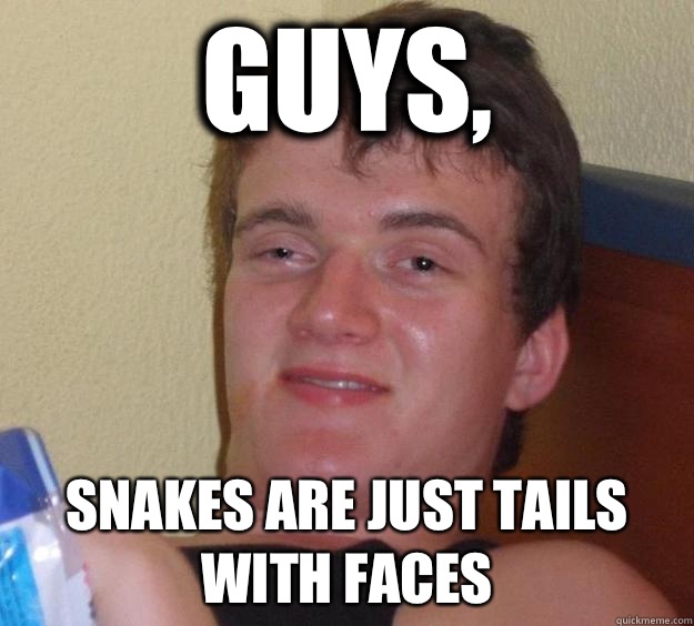 Guys, Snakes are just tails with faces  10 Guy