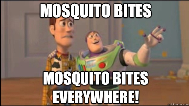 Mosquito bites Mosquito bites everywhere!  Buzz and Woody
