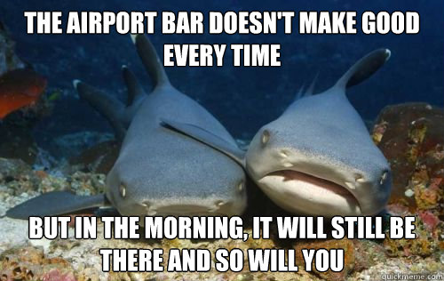 the airport bar doesn't make good every time but in the morning, it will still be there and so will you  Compassionate Shark Friend
