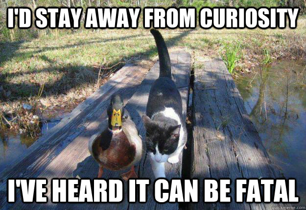I'd stay away from curiosity I've heard it can be fatal - I'd stay away from curiosity I've heard it can be fatal  Boat advice