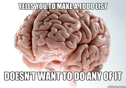 TELLS YOU TO MAKE A TODO LIST DOESN'T WANT TO DO ANY OF IT  Scumbag Brain