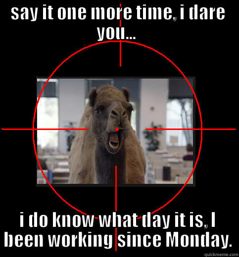 SAY IT ONE MORE TIME, I DARE YOU...  I DO KNOW WHAT DAY IT IS, I BEEN WORKING SINCE MONDAY. Misc