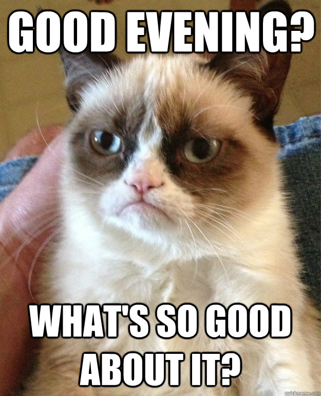 Good Evening? What's so good about it?  Grumpy Cat