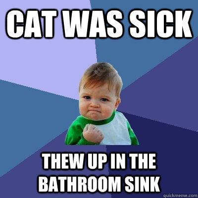 Cat was sick Thew up in the bathroom sink  Success Kid