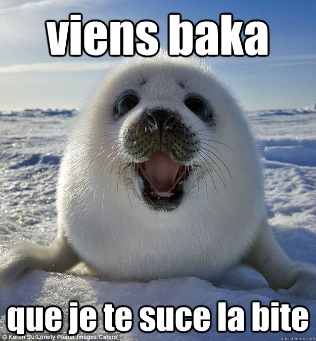 viens baka que je te suce la bite  Easily Pleased Seal