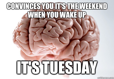 Convinces you it's the weekend when you wake up It's Tuesday  Scumbag Brain