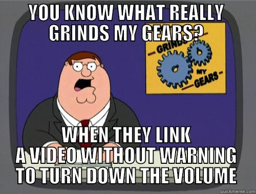 VIDEO WITHOUT WARNING VOLUME - YOU KNOW WHAT REALLY GRINDS MY GEARS? WHEN THEY LINK A VIDEO WITHOUT WARNING TO TURN DOWN THE VOLUME Grinds my gears