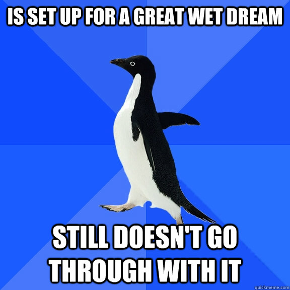 is set up for a great wet dream still doesn't go through with it  Socially Awkward Penguin