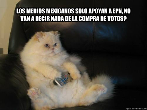 Los medios mexicanos SOLO APOYAN A EPN, NO VAN A DECIR NADA DE LA COMPRA DE VOTOS?  Disapproving TV Cat