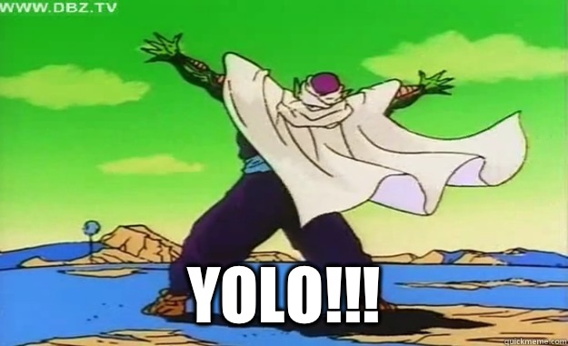  YOLO!!!  