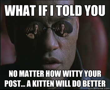 What if I told you no matter how witty your post... a kitten will do better  Morpheus SC