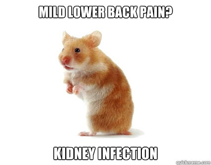 mild lower back pain? kidney infection  